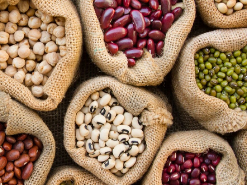 I legumi rappresentano una coltivazione ancora poco sfruttata visto il basso costo, l’alto valore nutrizionale e i benefici ambientali derivanti dalla loro coltivazione