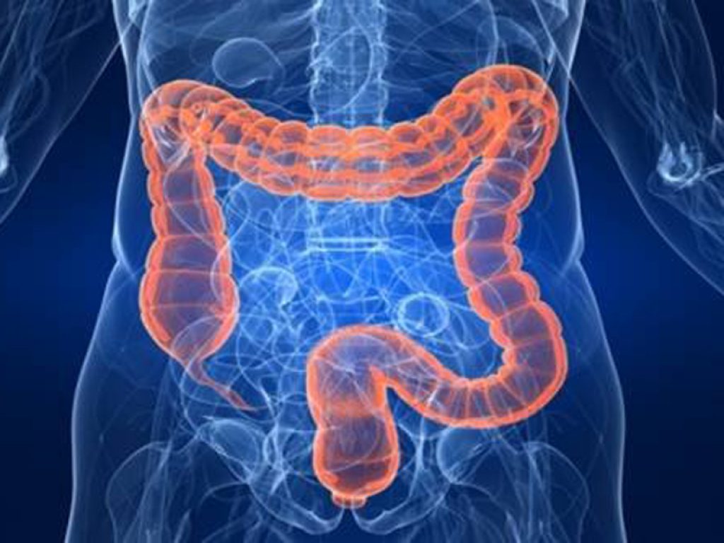 Tumori gastrointestinali, da Takeda un premio per la ricerca: selezionati i progetti vincitori del concorso “Open Innovation Award”