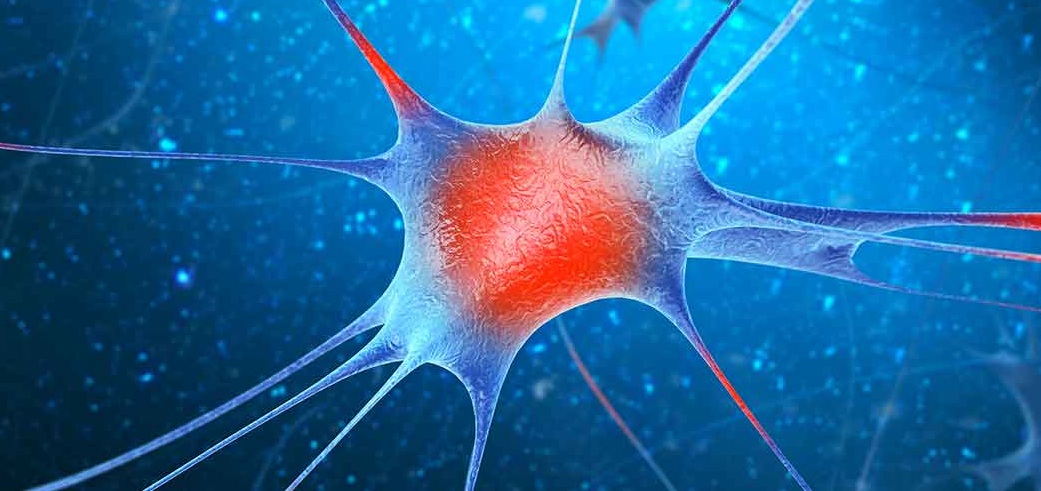 malattie neuromuscolari centro clinico nemo accademia