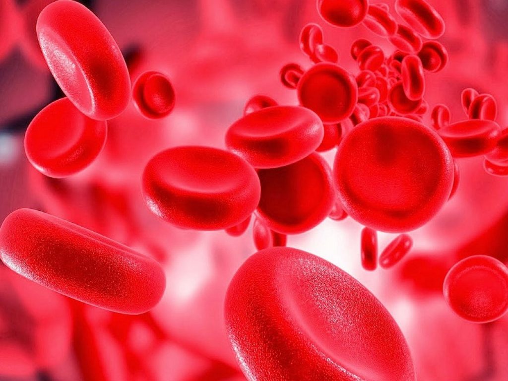 Beta-talassemia e sindromi mielodisplastiche: Aifa rende rimborsabile in Italia luspatercept che riduce le trasfusioni di sangue