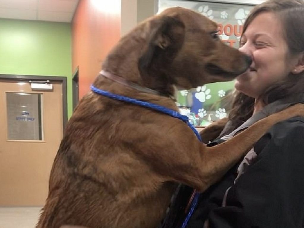 Ritrova il cane dopo 2 anni grazie a un gruppo Facebook: il video di Rebecca Bien che riabbraccia la sua Emmy Lou commuove il web