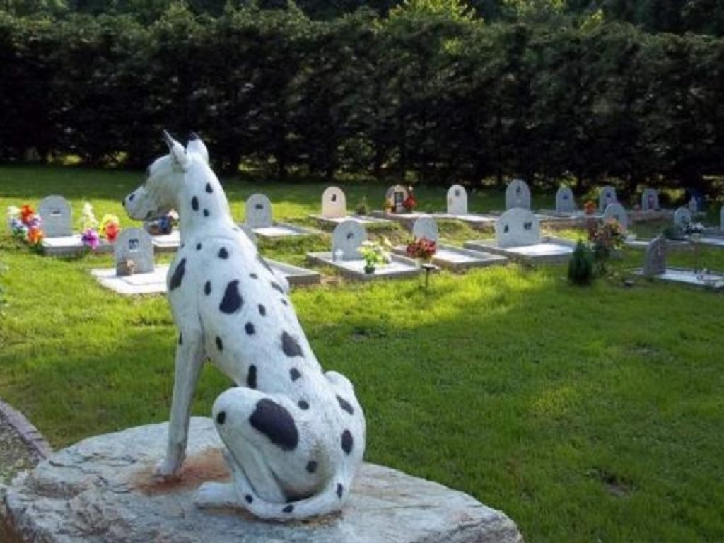 Il trauma del lutto per la morte del proprio pet nel Rapporto Italia 2020 dell’Eurispes: il 25,6% degli italiani ha scelto un cimitero per animali