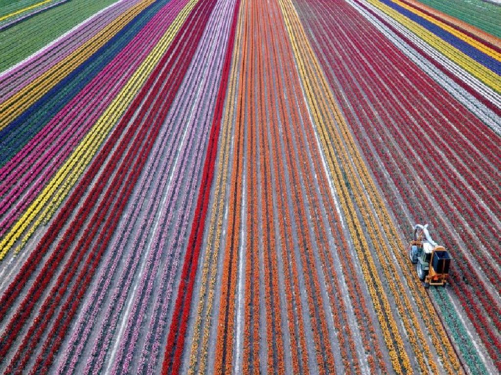 L'Italia coordina Fields, l'Erasmus per giovani agricoltori