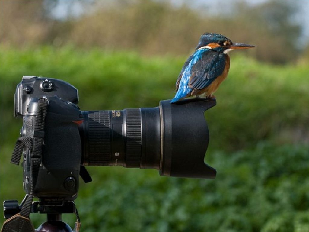 A novembre si terrà il primo Festival del Giornalismo ambientale: appuntamento a Roma dal 19 al 21 con Ministero, Enea, Ispra e Fima