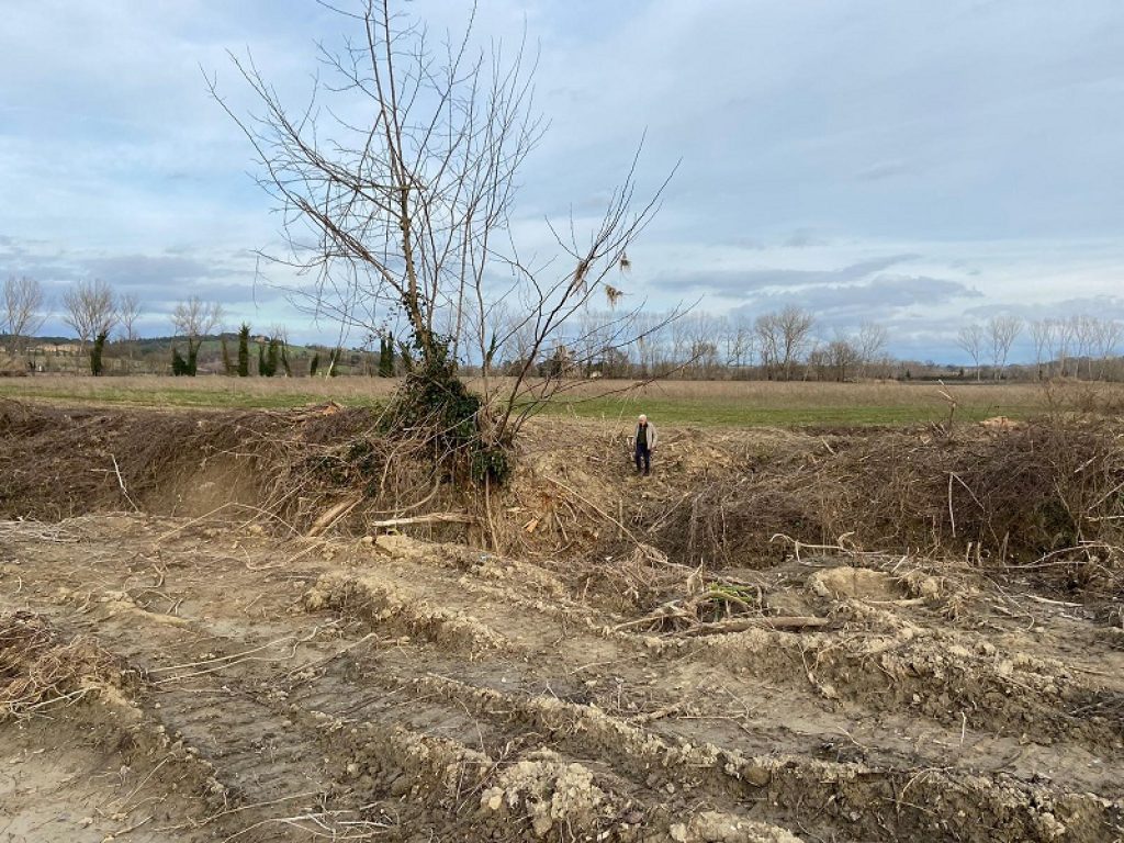 Tagli selvaggi alla vegetazione lungo i fiumi della Toscana, dal Cecina all'Ombrone: il WWF attacca i Consorzi di Bonifica e parla di uno scempio