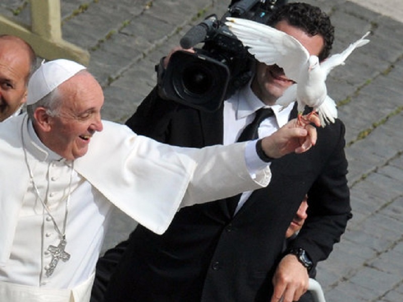 Cani e gatti vietati negli immobili del Vaticano, Enpa scrive a Papa Francesco: "Mettere fine a questo anacronismo del passato"