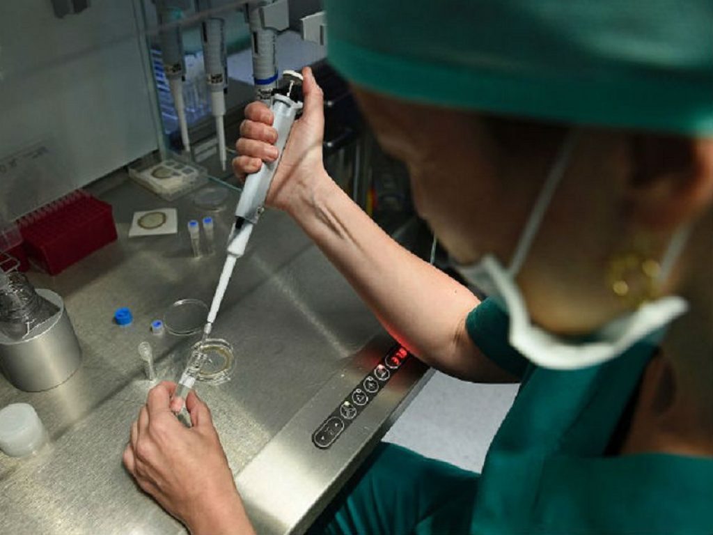 Una ricerca del Cnr rivela le basi molecolari della transizione dalla simmetria bilaterale a quella radiale nello stilo della pianta modello Arabidopsis