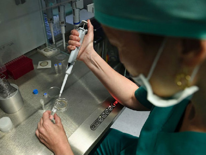 Una ricerca del Cnr rivela le basi molecolari della transizione dalla simmetria bilaterale a quella radiale nello stilo della pianta modello Arabidopsis