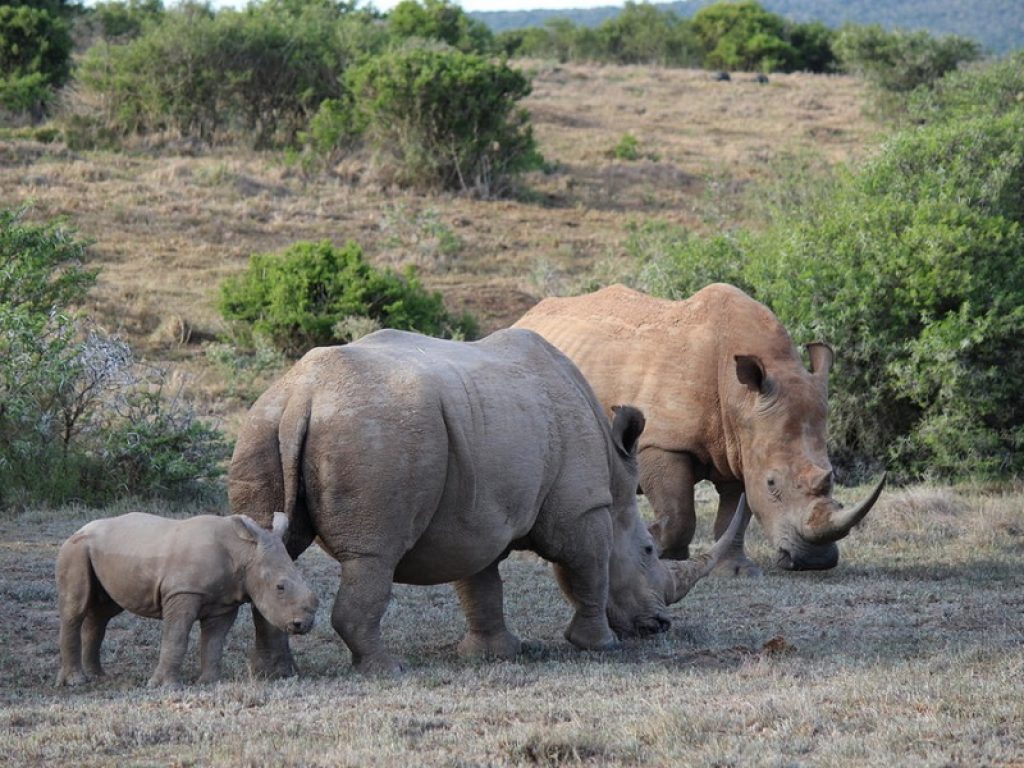 Aics e Sogesid insieme per l’ambiente in Africa: la collaborazione tra i due organismi è stata estesa fino al 2025