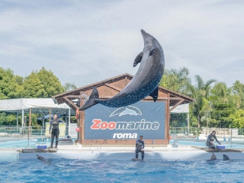 Zoomarine e MagicLand creano il primo abbonamento congiunto: continua anche nella stagione 2021 la sinergia tra i due Parchi più grandi del Centro-Sud Italia