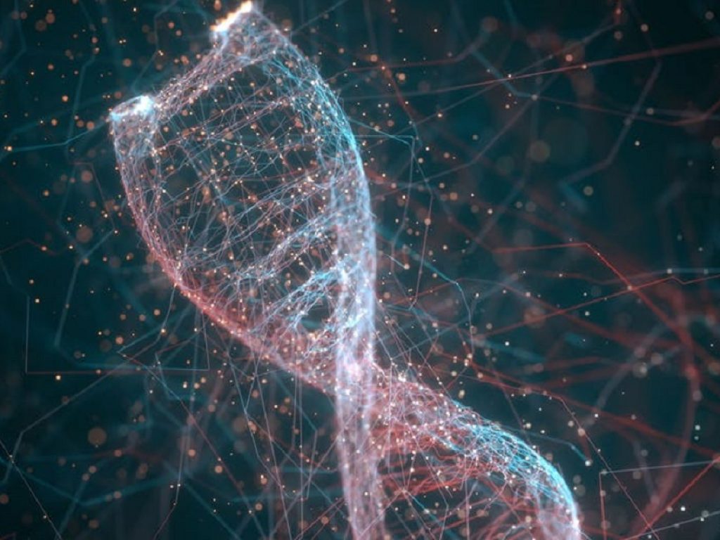 Tumore al seno ereditario: uno studio internazionale ha rivelato che i geni possibilmente coinvolti sono almeno 200