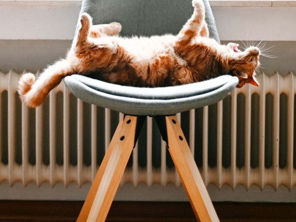 I consigli per la manutenzione dei termosifoni in estate: l'inattività può portare a dei danni di cui ci si accorge solo in inverno quandosi accendono