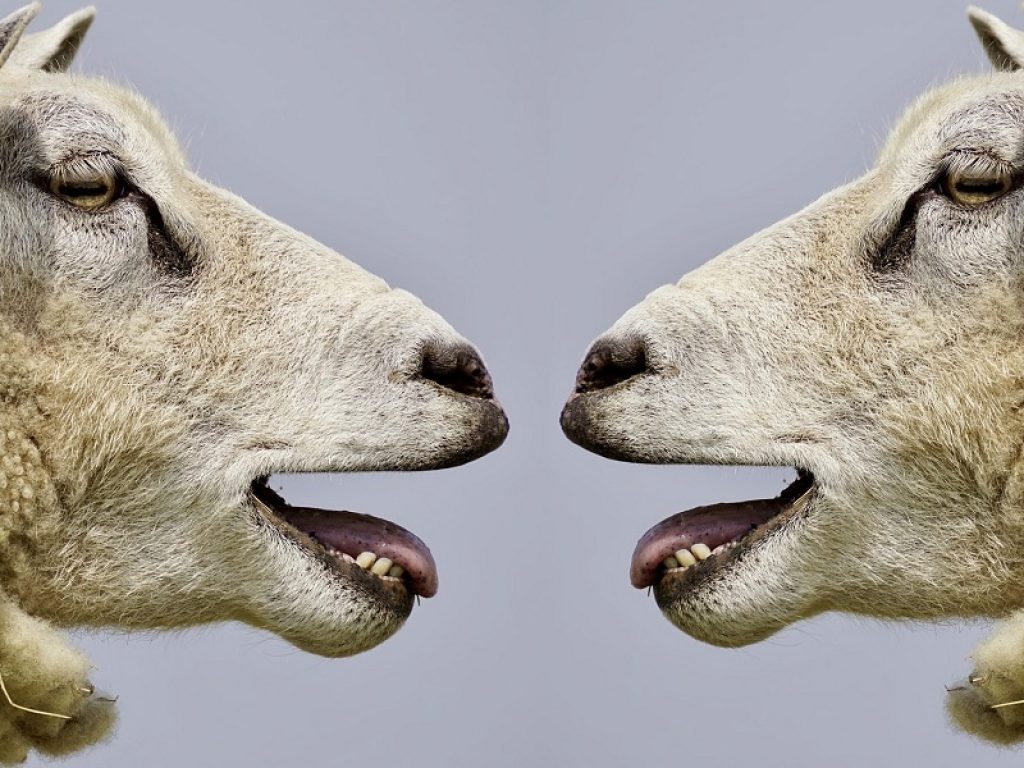 IV edizione del Premio Twain_direzioniAltre: la scadenza del bando è stata prorogata al 15 aprile 2020. Ecco come partecipare