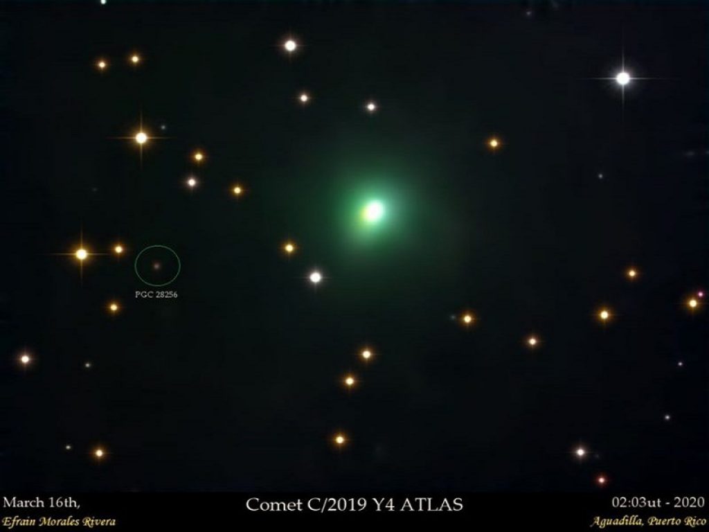 ATLAS, la cometa di maggio che potrebbe brillare come la Luna crescente
