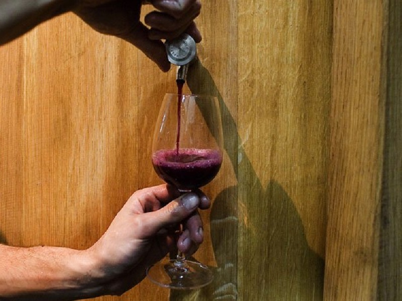 Nasce la Slow Wine Coalition: una rete mondiale che riunisce tutti i protagonisti della filiera: primo meeting a Bologna, dal 26 febbraio al 1° marzo 2022