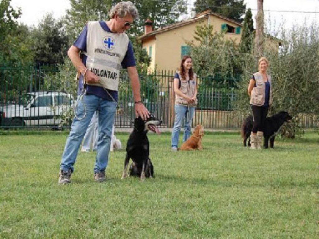 Al via il concorso di idee per la realizzazione del "Logo 150° ENPA – Ente Nazionale Protezione Animali": per partecipare c'è tempo fino al 30 aprile