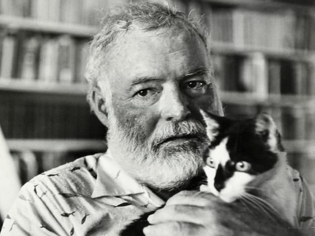 I gatti polidattili di Ernest Hemingway