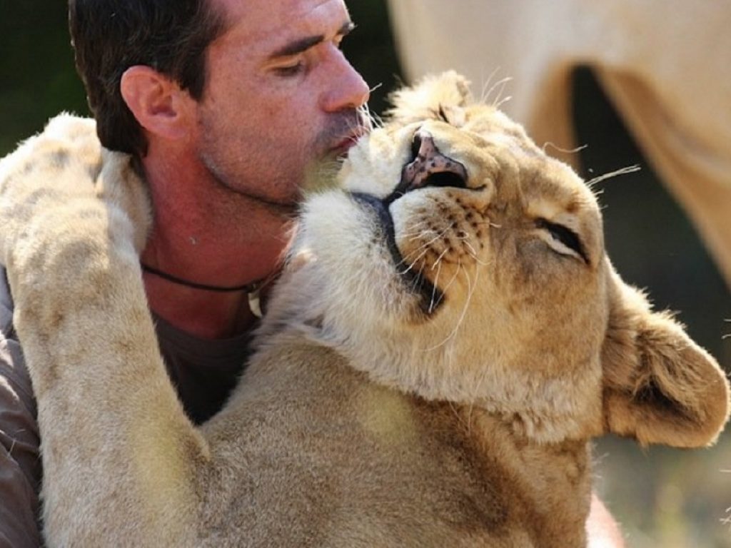 L’uomo che sussurra ai leoni: la storia di Kevin Richardson