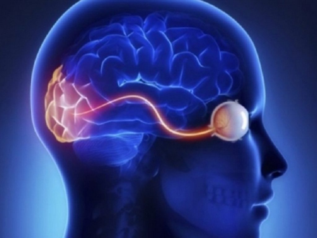 Neuromielite ottica: l'agenzia statunitense Fda approva satralizumab, primo e unico trattamento sottocutaneo per adulti