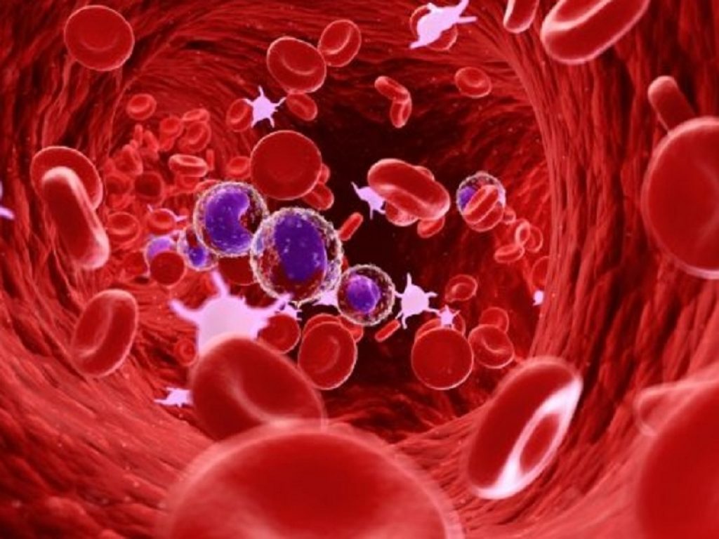 Policitemia vera: ruxolitinib efficace a lungo termine nei pazienti resistenti all'idrossiurea secondo uno studio pubblicato su The Lancet Haematology