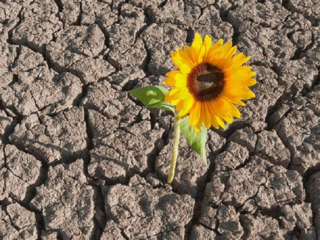 La resilienza come opportunità in tempo di Coronavirus: trovare il positivo in una situazione difficile non è semplice ma neanche impossibile