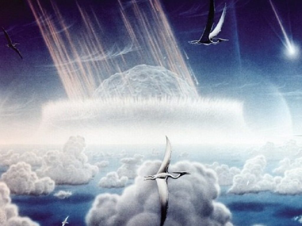 Dalle piume alle pulci: 8 curiosità sui dinosauri