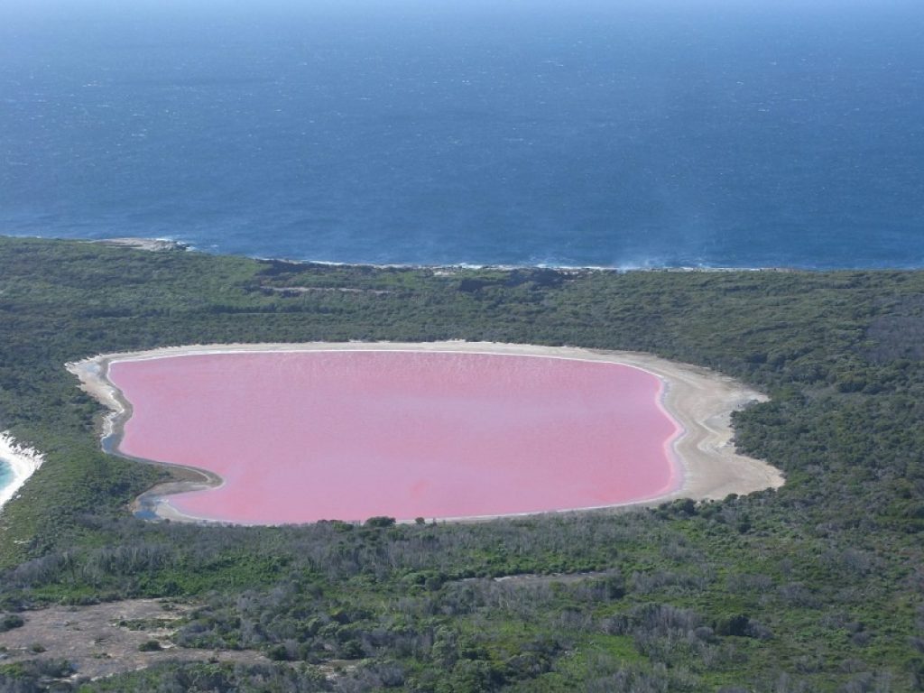 La magia di Lake Hillier, il lago rosa più famoso del mondo