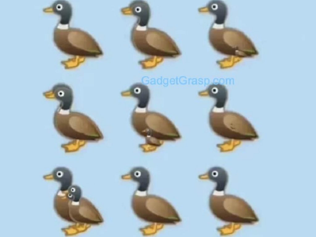Il gioco delle anatre: quante sono nell'immagine?