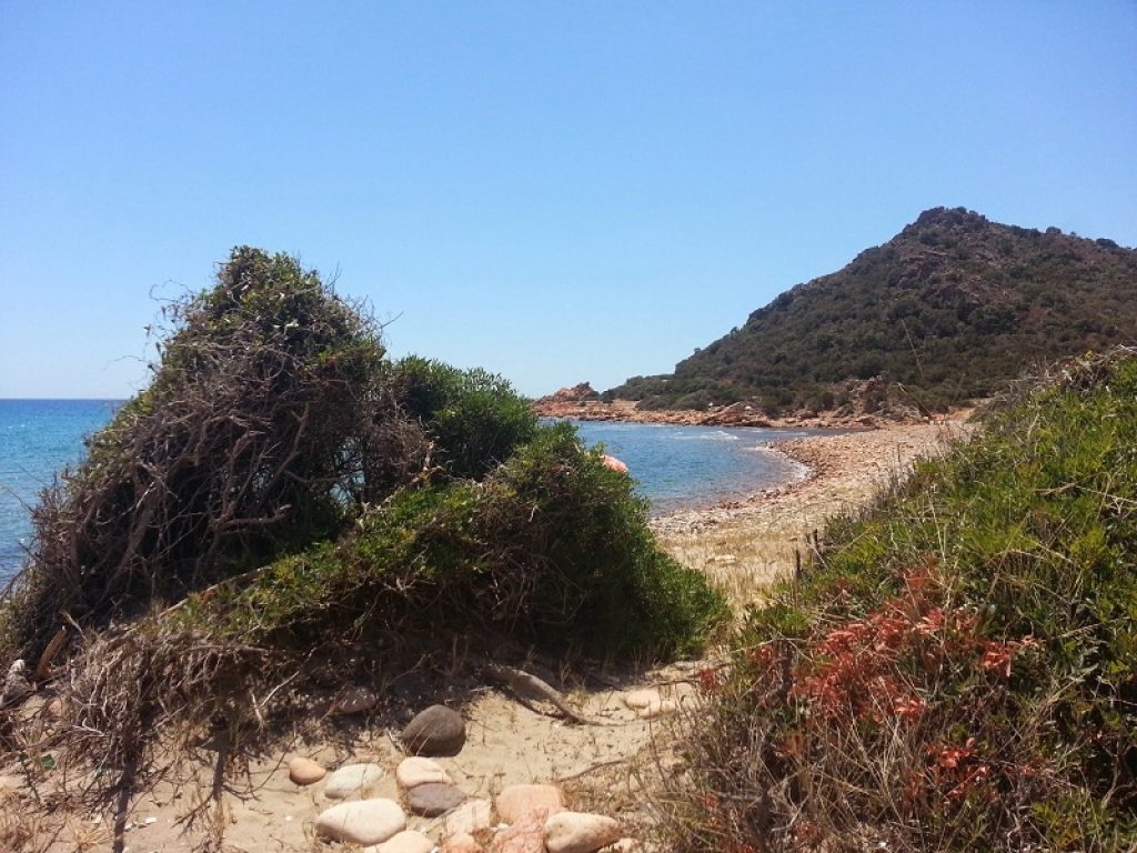 Studio Cnr: spiagge chiuse per salvare la biodiversità