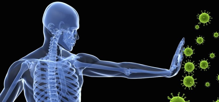 Il sistema immunitario è lo scudo della nostra salute. Cosa fare per aiutarlo e affrontare meglio gli attacchi esterni con le nostre difese