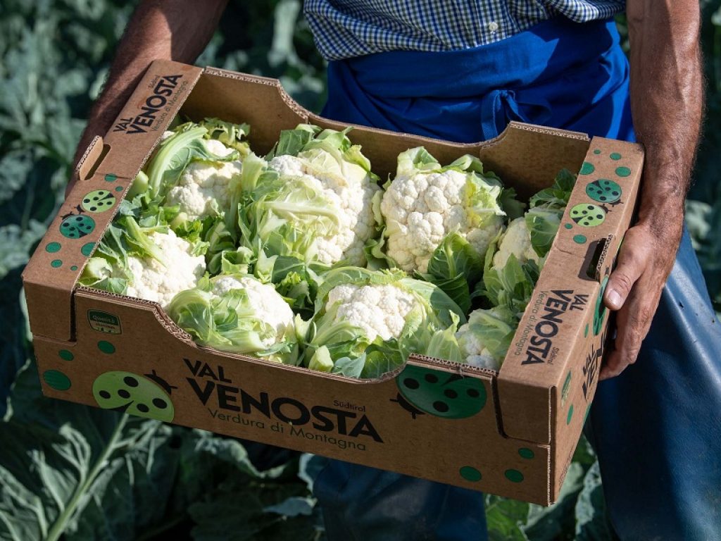 Dalla Val Venosta arriva il Cavolfiore d’autore