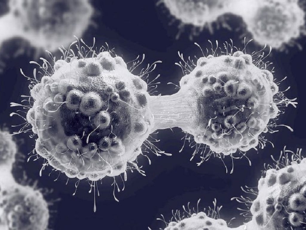 La scoperta di un nuovo meccanismo di resistenza delle cellule tumorali potrebbe aiutare a sviluppare terapie più efficaci contro il cancro