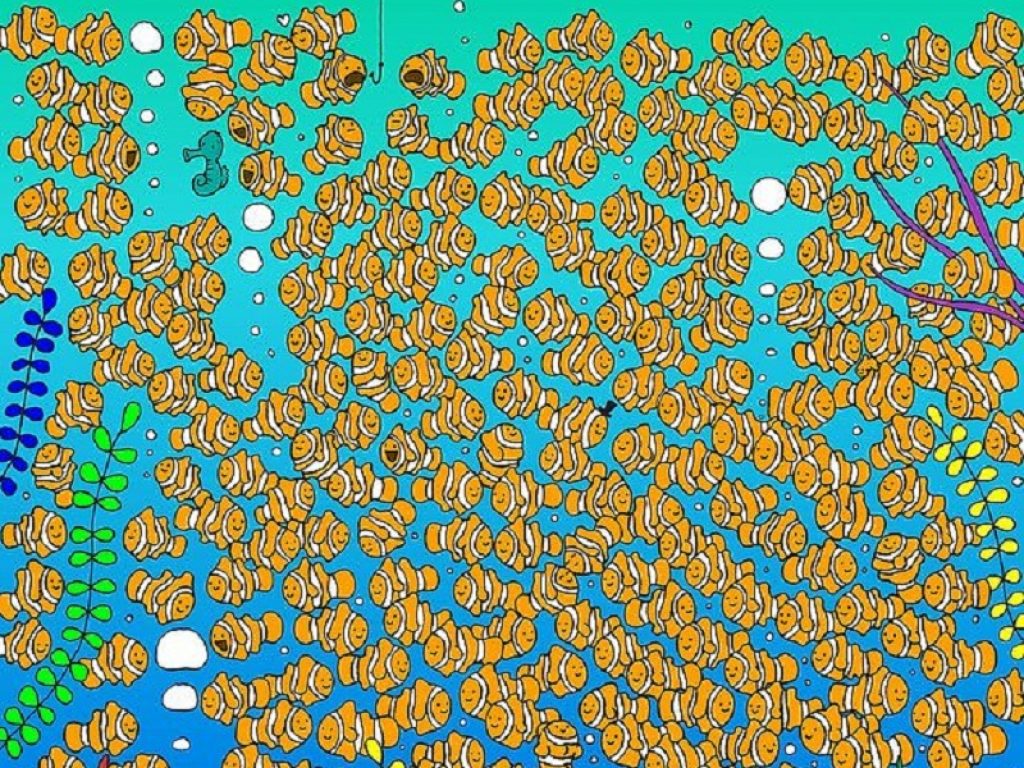Un nuovo rompicapo a tema estivo: in mezzo ai pesci pagliaccio riesci a trovare il pesciolino rosso? La soluzione al gioco è in fondo alla pagina
