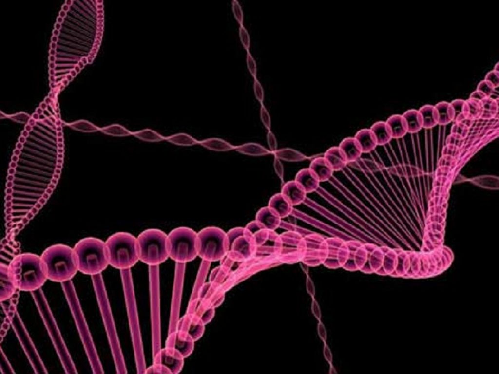 Atrofia Muscolare Spinale: al via "OneGene", un programma di supporto per i pazienti trattati con la terapia genica