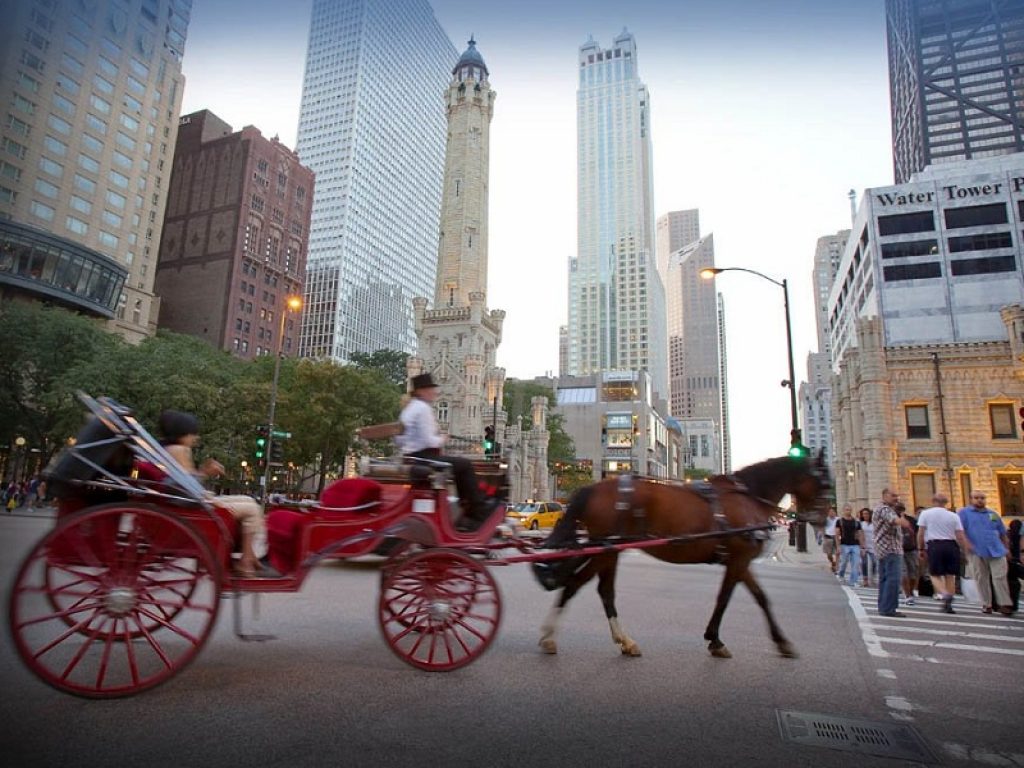 A Chicago si fermano per sempre le carrozze a cavalli