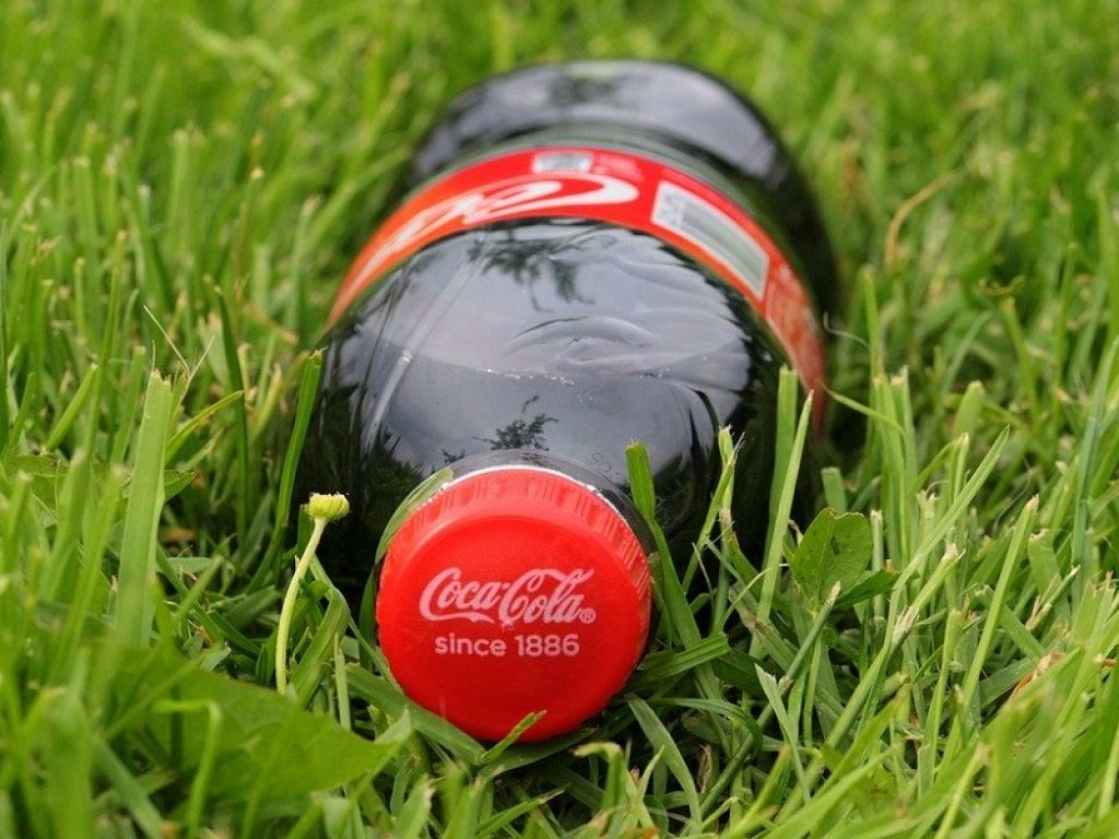 Bottiglie di origine vegetale nel futuro di Coca-Cola: in sviluppo un nuovo imballaggio sostenibile, il progetto è gestito da The Paper Bottle Company (Pabaco)