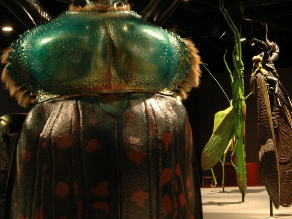Gli insetti giganti dello scienziato-scultore Lorenzo Possenti saranno installati alla riapertura ai Giardini di Castel Trauttmansdorff