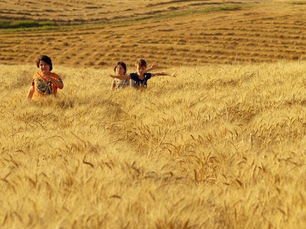 Il film Mare di Grano arriva il 20 maggio su Raidue, con la splendida colonna sonora di Pino Donaggio, premiato con il Mercurio d'Argento alla carriera