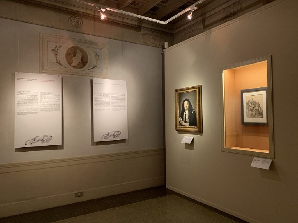 L'universo naturale di Giovanna Garzoni a Palazzo Pitti