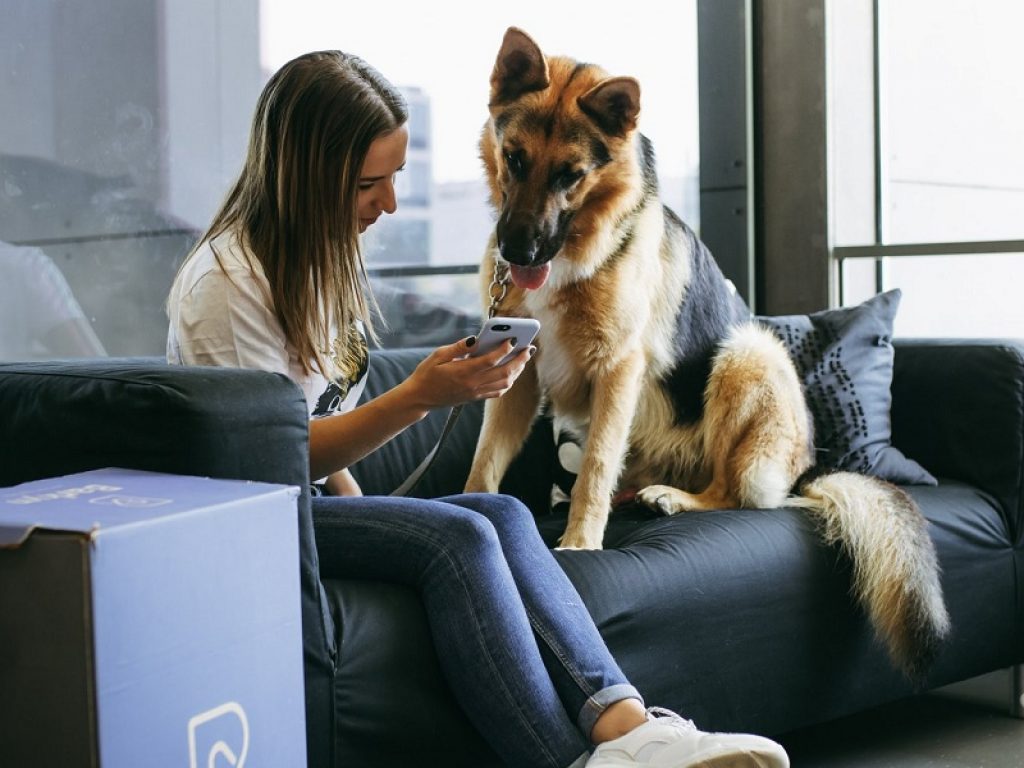 Da oggi, con Dog Smile, anche i nostri cuccioli potranno usufruire della tecnologia per conoscere nuovi amici e i migliori servizi. Dog Smile è infatti una app gratuita - scaricabile sia da App Store sia da Google Play – ideata dal giovane perugino Marco Nataloni, che mette a disposizione una community con cui condividere le giornate del proprio cucciolo, nonché servizi e funzionalità pensate appositamente per i nostri amici a quattro zampe. «Sono cresciuto a Perugia in compagnia dei cani: a casa c’è sempre stata almeno un amico scodinzolante. Quando ero bambino erano i miei compagni di giochi preferiti, oggi sono quella calda e sicura accoglienza dopo il lavoro.» afferma l’ideatore di Dog Smile, Marco Nataloni. «Mi piace pensare di poter creare una community dedicata interamente alla condivisione dei momenti trascorsi insieme ai nostri amici a quattro zampe; si tratta di uno strumento utile per stabilire nuove connessioni e per trovare validi consigli nutrizionali. Allo stesso tempo, è una piattaforma rivolta alle attività del settore per pubblicizzare i propri servizi e prodotti». Come funziona? Una volta effettuata la registrazione e aver inserito i dati del cane, si dovrà autorizzare la geolocalizzazione. Dopodiché apparirà una sorta di homepage con le ultime foto caricate dagli utenti. Questa parte, genuinamente social, permette di guardare foto, mettere mi piace e chattare, ma non mancano funzionalità specifiche e dedicate, come quella che consente di trovare l’anima gemella sfruttando la georeferenziazione e quella che consente di ricevere consigli e ricette in base alle caratteristiche del nostro cane. A questo fanno da corollario una ricerca avanzata - con filtri per distanza, taglia e razza - le notifiche archiviabili e la possibilità di condividere il proprio profilo tramite QR Code, inviandolo ai propri contatti. Il profilo utente Il profilo utente presenta la classica immagine profilo, una breve descrizione, le storie e le foto pubblicate. Ci sarà inoltre la possibilità di vedere quante persone ci seguono e di tenere un archivio delle chat. I dati inseriti sono modificabili in ogni momento e l’aggiornamento del profilo avviene in maniera immediata grazie all’accesso diretto alla fotocamera del telefono. Il profilo aziendale Dog Smile offre anche la possibilità di passare a un profilo aziendale, riconoscibile poi, all’interno della piattaforma, grazie alla dicitura azienda/professionista posta sotto al nome utente. Sarà un modo, per i vari negozi o attività che operano nel settore degli animali, di farsi conoscere e di offrire i loro servizi a un pubblico specializzato. Per saperne di più: https://dogsmileapp.it/