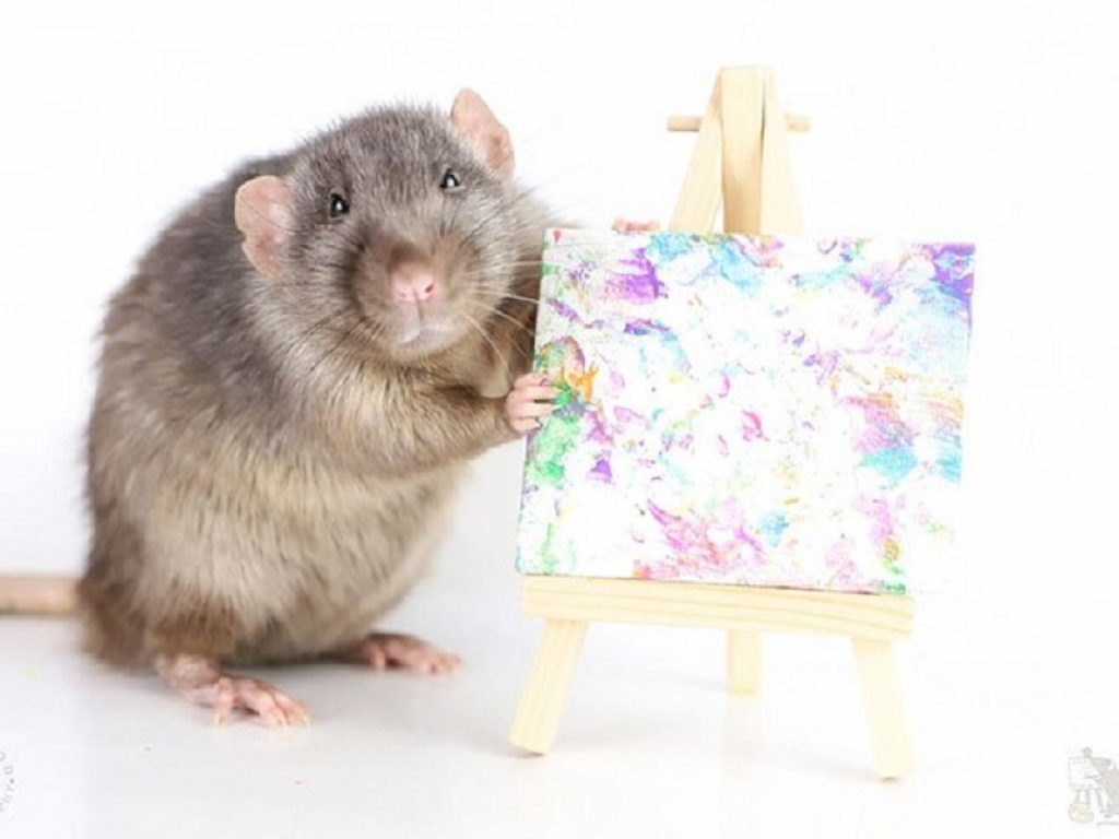 Anche i topi sanno dipingere e questi quadri sono la prova: un collettivo di ratti pittori ha dato vita a piccoli capolavori che sono andati a ruba