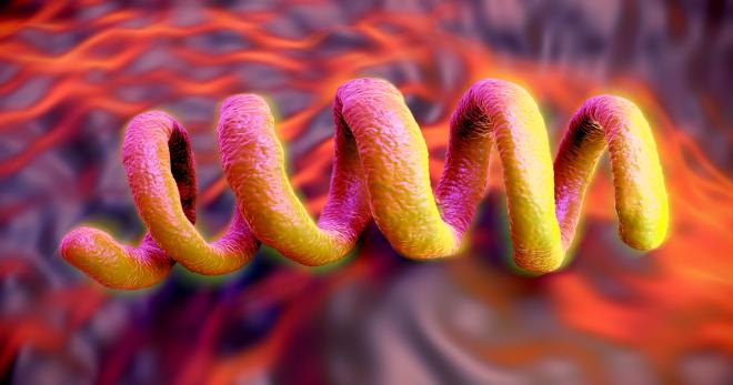 La sifilide è un’infezione genitale che causa ulcere ed escoriazioni e facilita la trasmissione dell’Hiv: ogni stadio ha sintomi diversi