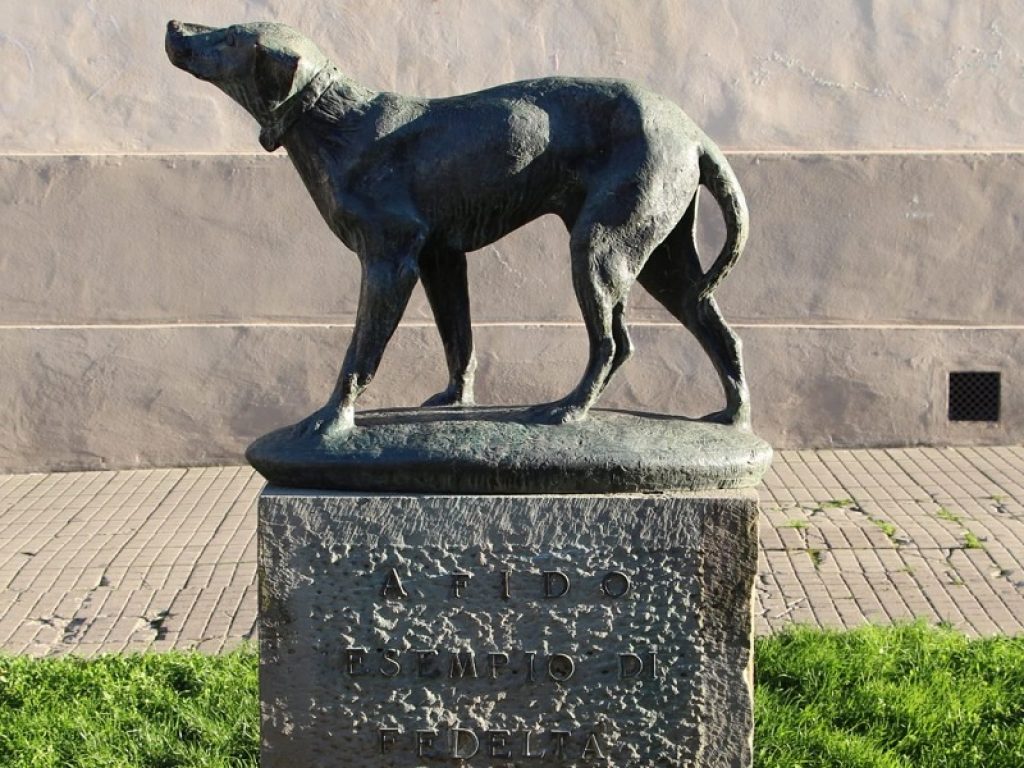 Fido come Hachiko: ha aspettato il padrone 14 anni