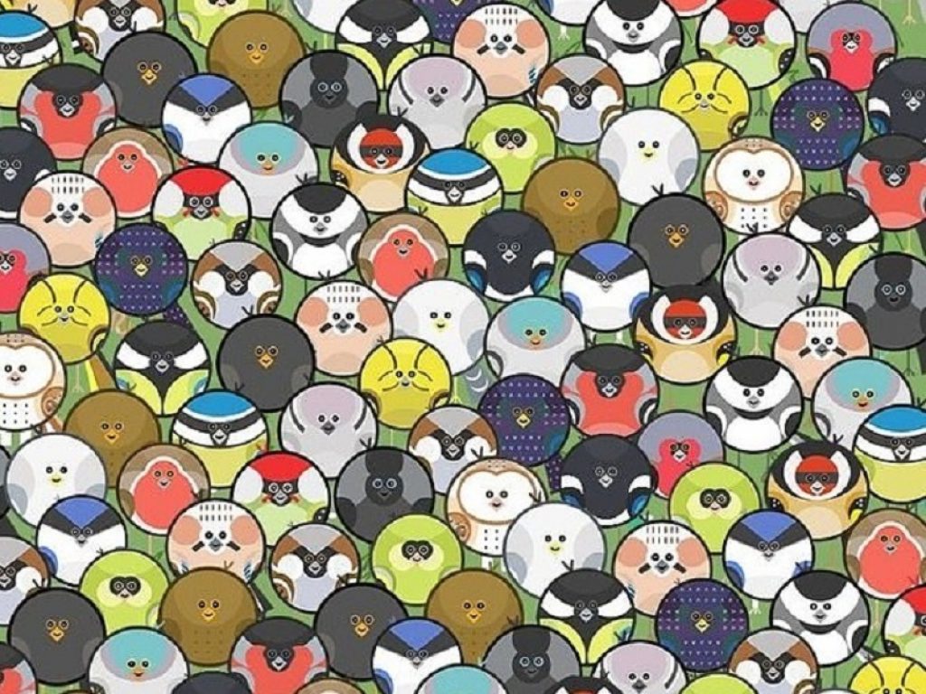 Un nuovo rompicapo sta facendo impazzire gli utenti dei social network: riesci a trovare il verme nascosto in mezzo agli uccelli? (Soluzione in fondo alla pagina)