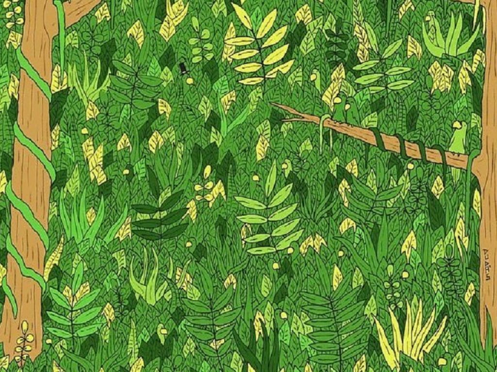 Il rompicapo del serpente: trovalo nella giungla