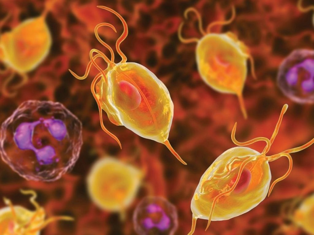 Tricomoniasi: come riconoscerla dai sintomi