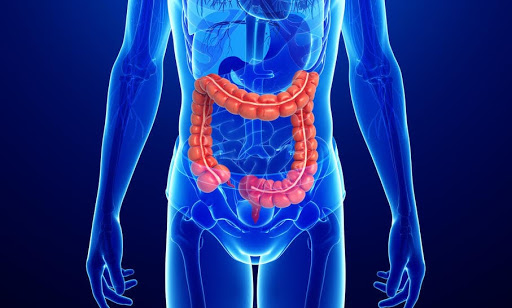Il tumore del Colon-Retto è il secondo più frequente in Italia, dove vivono 513.000 pazienti con questa neoplasia: con la pandemia crollo degli screening