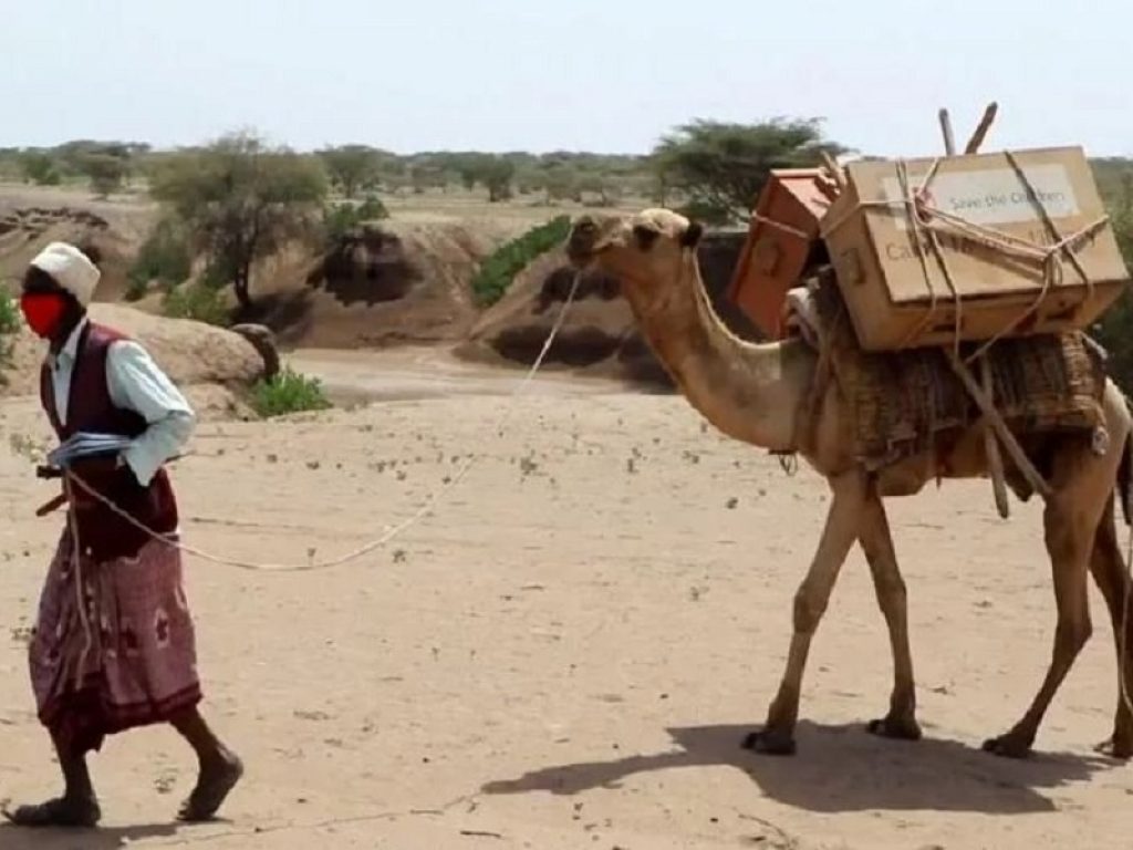 In Etiopia biblioteche a dorso di cammello