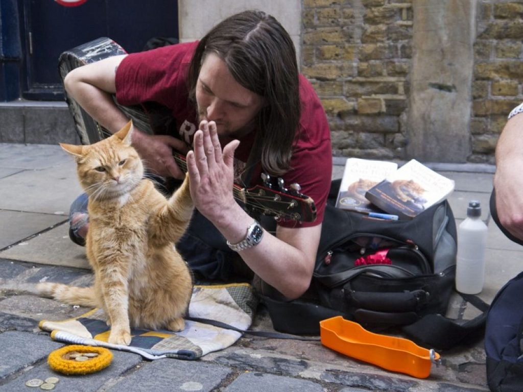 Addio al gatto Bob, star del romanzo di Bowen