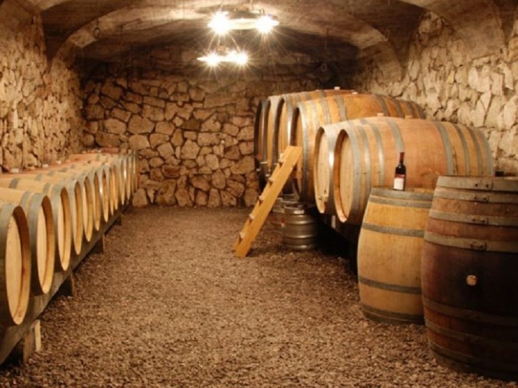 Nasce WeTaste.Wine, la piattaforma per scoprire le piccole cantine d'Italia: ogni mese il racconto di una storia diversa tra i filari